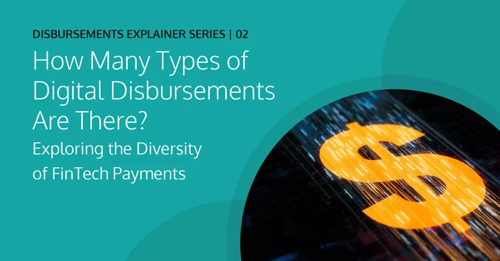 Exploring the Diversity of FinTech Payments